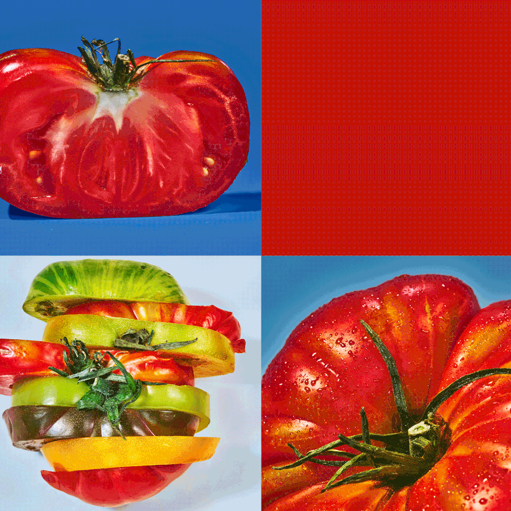 Welcome to Tomato Week!