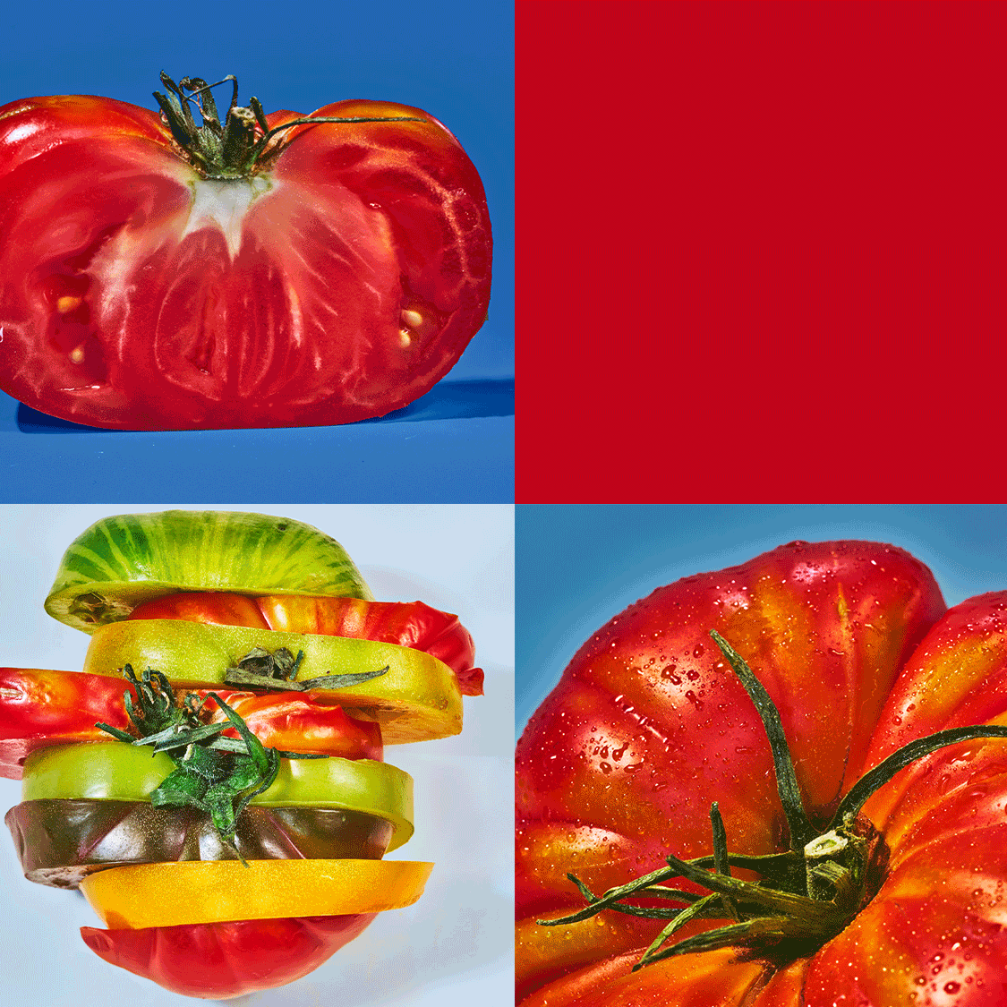 Welcome to Tomato Week!