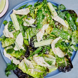 A plate of chicken salad with romaine lettuce and cucumbers